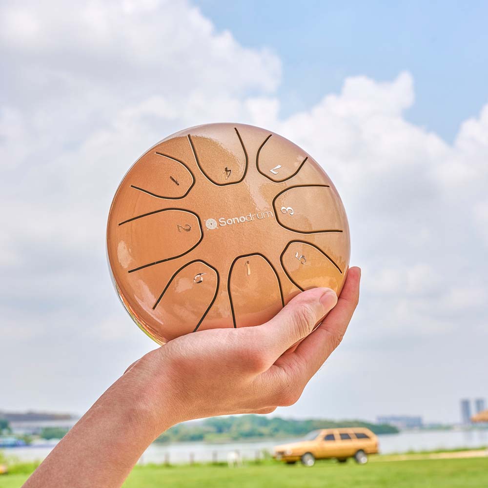 Was ist eine Zungentrommel 