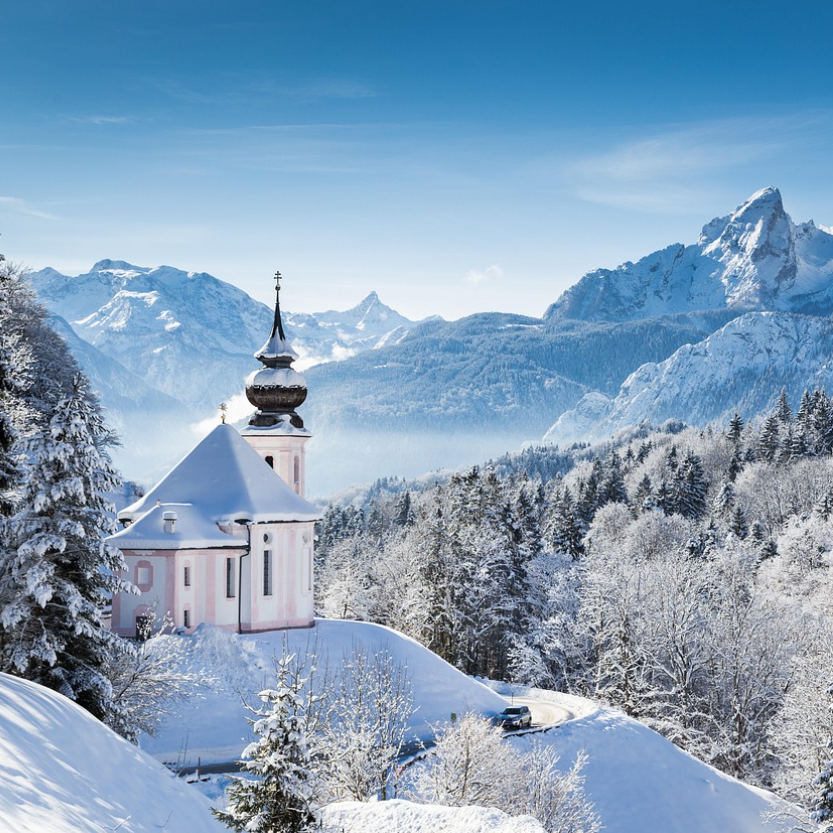 Zungentrommel im Winter