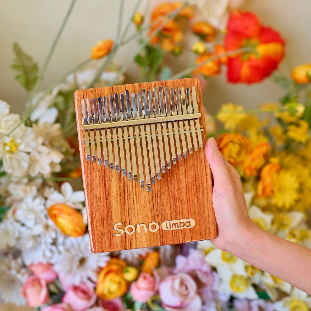 Kalimba lernen mit diesem Guide einfacher geht es nicht! 🥁 Sonodrum 🌈