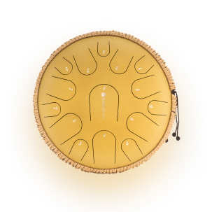 Warum die Sonodrum das ideale Einsteigerinstrument ist