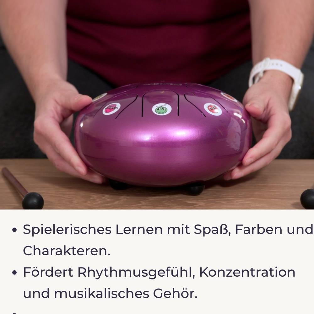 Sonodrum Let’s Play Zungentrommel Komplett-Set – Lernheft + Stickerbogen + Videokurs - Floh im Ohr TV 5