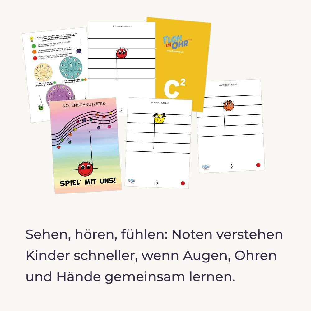 Sonodrum Notenschnutzies Pocket A6 - Lernkarten Einzelnoten A6 - Floh im Ohr TV 3