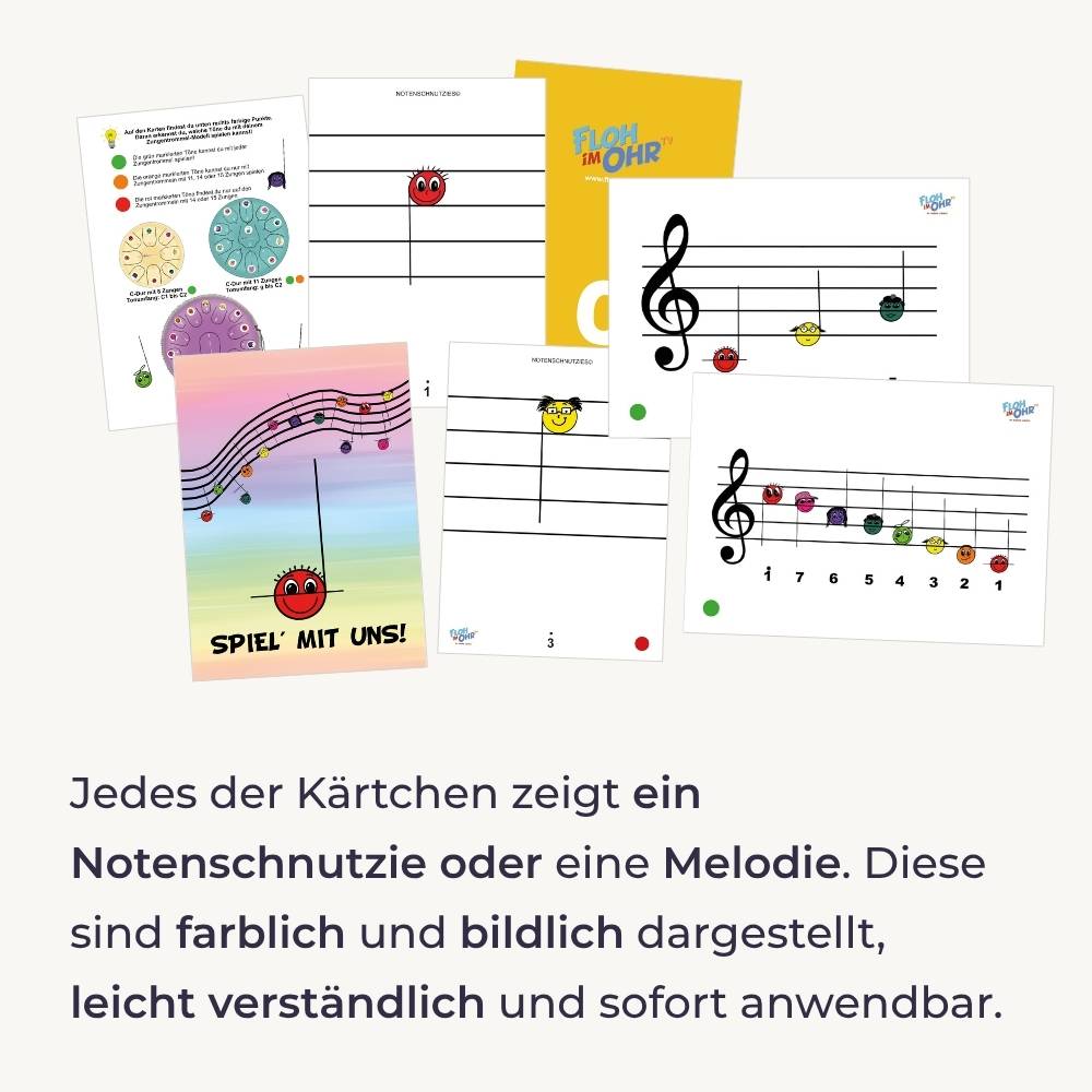 Sonodrum Notenschnutzies Violinschnutzies - Big Pack A5 Lernkarten - Floh im Ohr TV neu 3