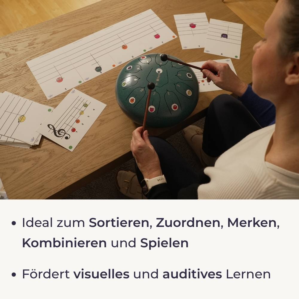 Sonodrum Notenschnutzies Violinschnutzies - Big Pack A5 Lernkarten - Floh im Ohr TV neu 4