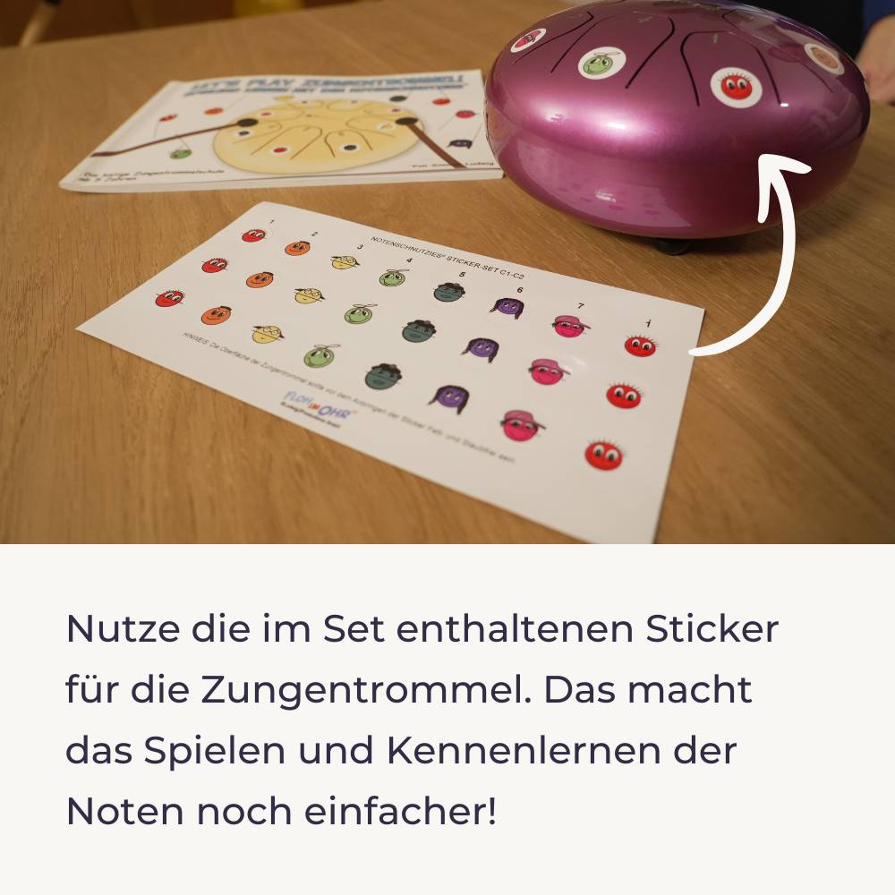 Sonodrum Notenschnutzies Violinschnutzies - Big Pack A5 Lernkarten - Floh im Ohr TV neu 8