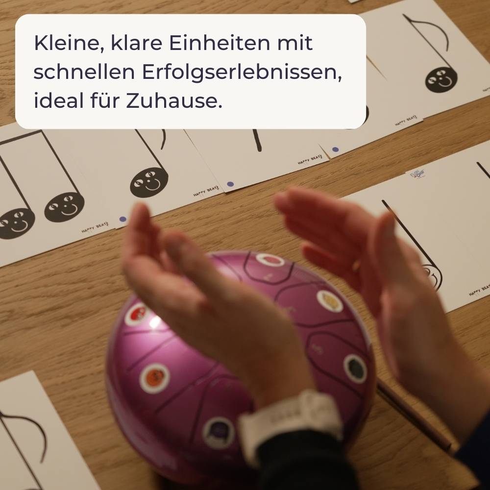 Sonodrum „Standard“ 30 cm – Rhythmus & Feeling Set – 11 Zungen + Happy Beatz® Karten & Videokurs | Floh im Ohr TV11