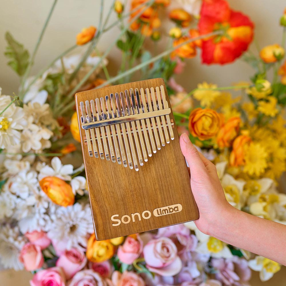 Sonolimba_Kalimba_17Tasten_Walnussholz_C-Dur_Blumenhintergrund