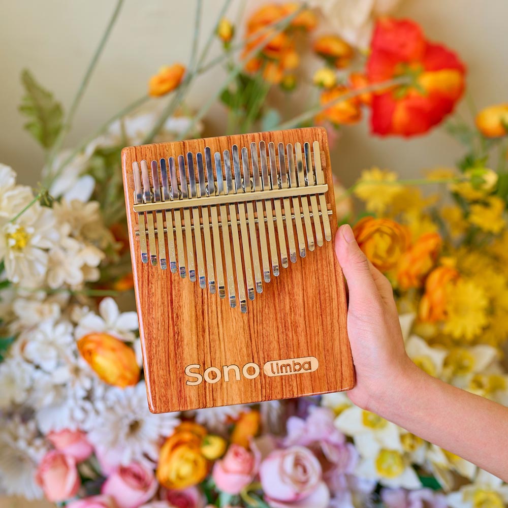 Sonolimba_Kalimba_21Tasten_Akazienholz_C-Dur_Blumenhintergrund