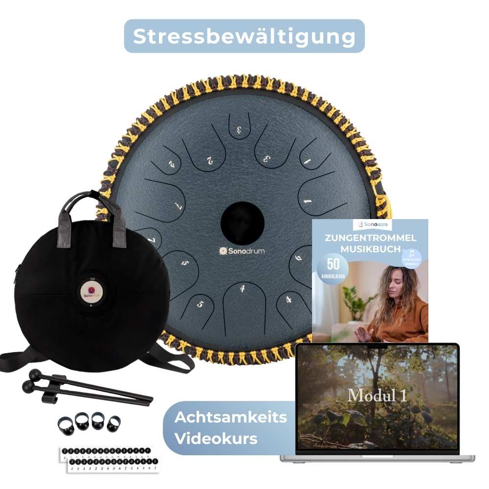 Sonodrum Tongue Drum - Kit de démarrage pour la gestion du stress 
