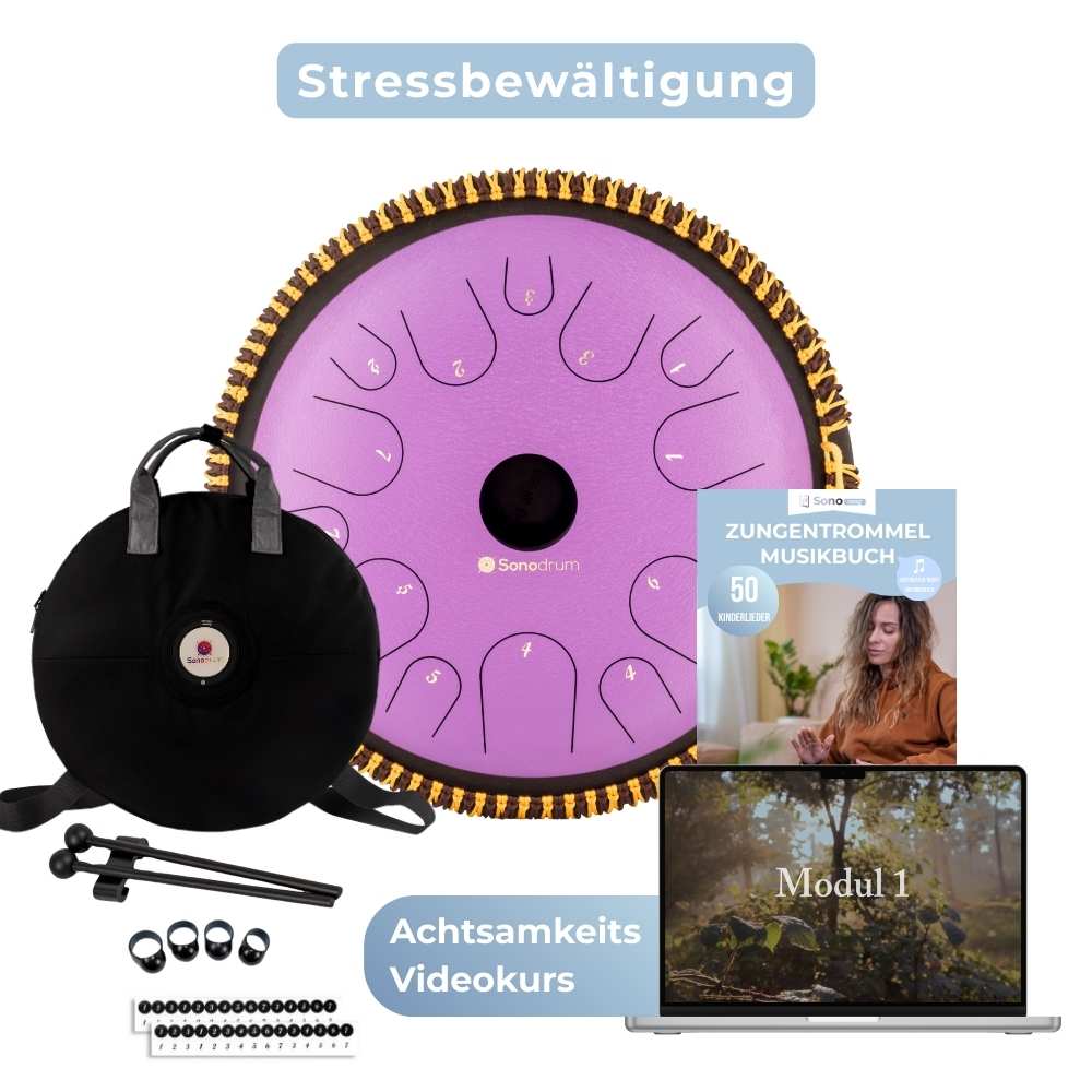 StressbewaltigungHauptbildFliederV2