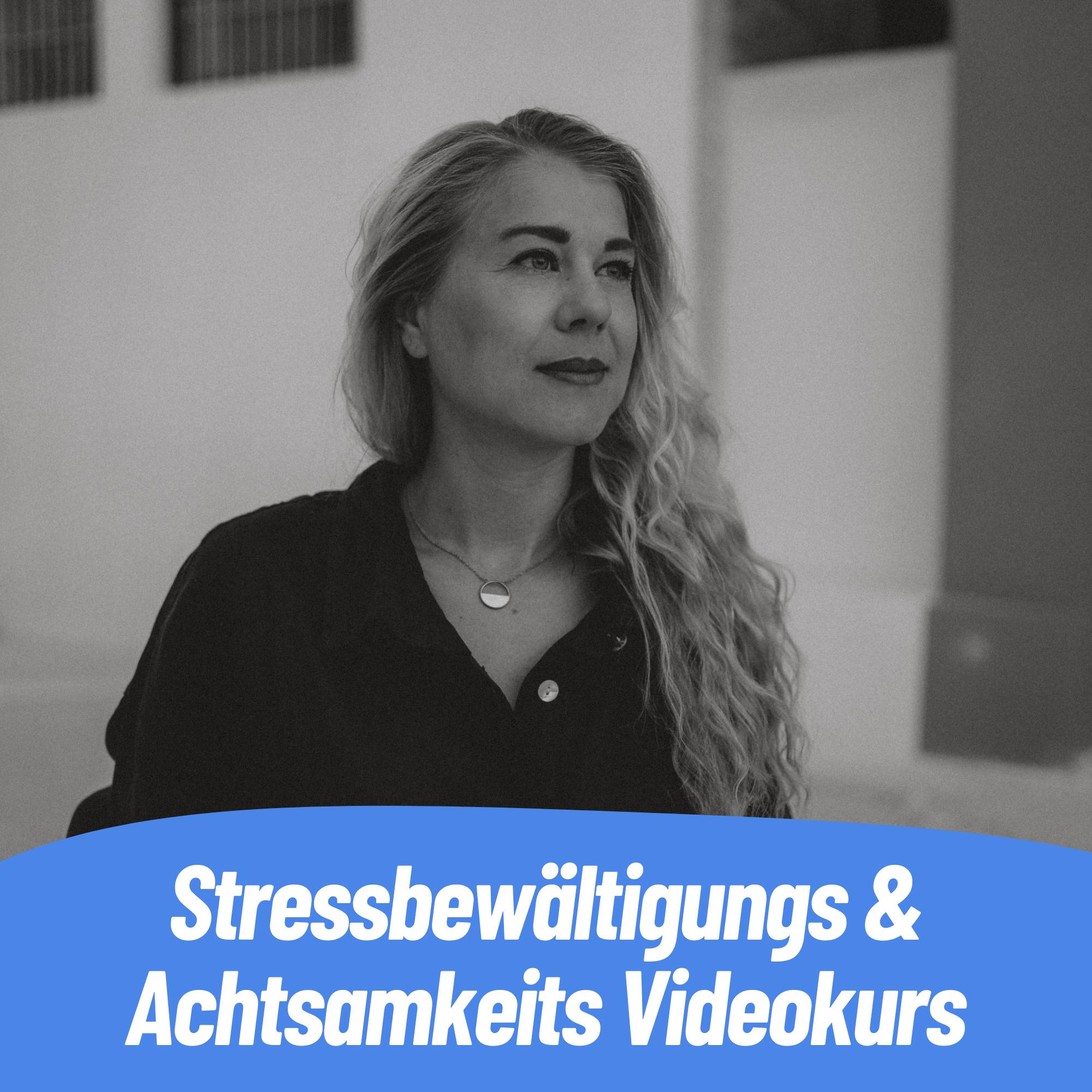 Videokurs Stressbewältigung & Achtsamkeit 🎥 Mit der Sonodrum