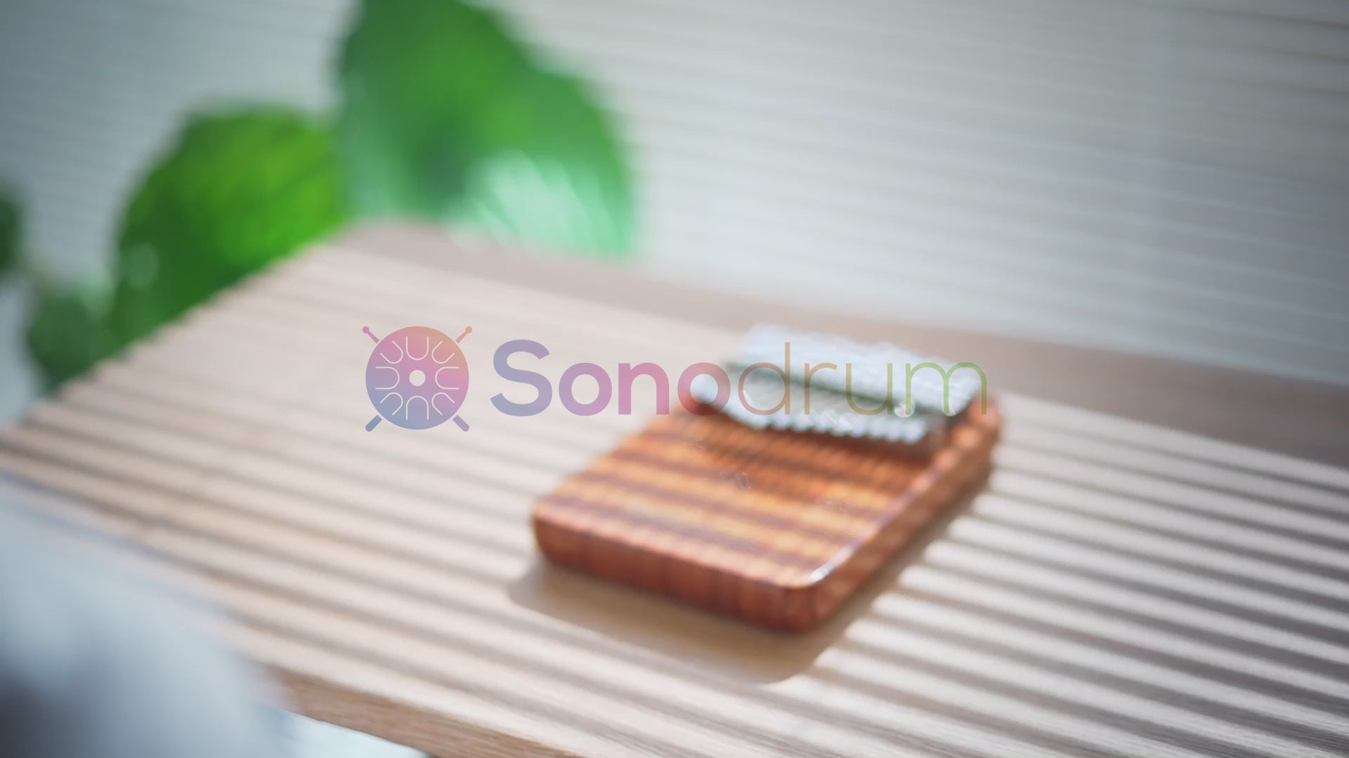 SonodrumKalimba-Sonolimba-AfrikanischesKorallenholz