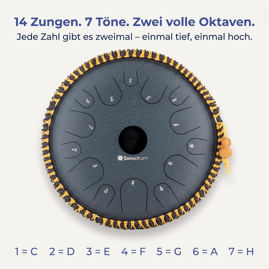 sonodrum exclusive noten layout